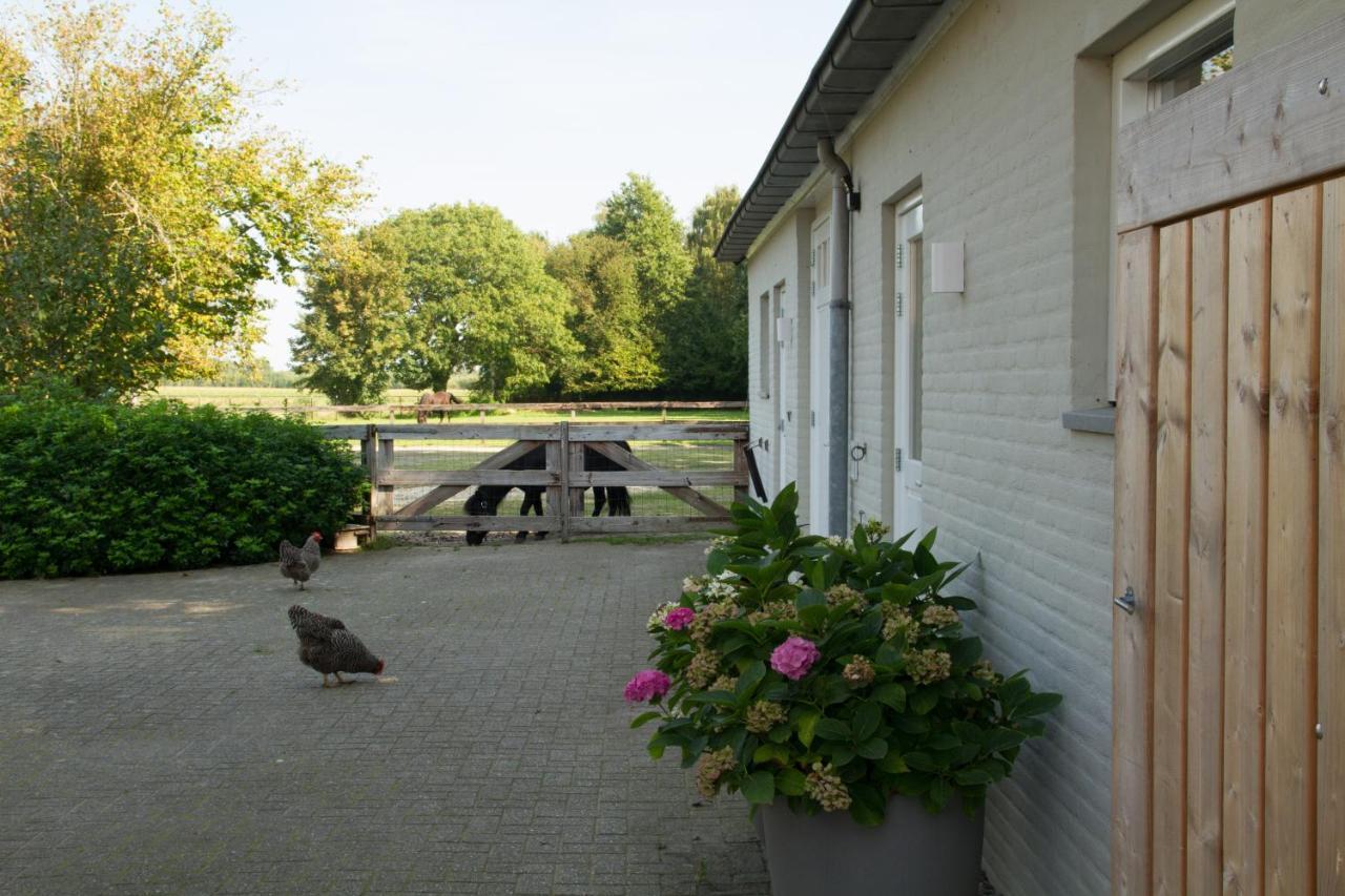 Het Rooversnest Riel Exteriér fotografie